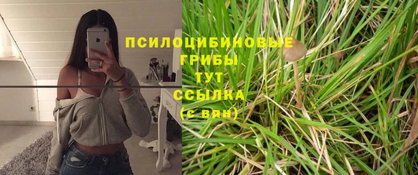 мет Заводоуковск