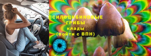 дмт Заволжск