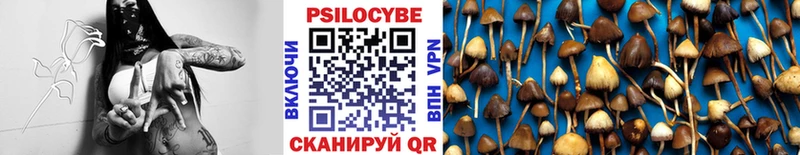 Псилоцибиновые грибы мицелий  Купить где  Кизилюрт 